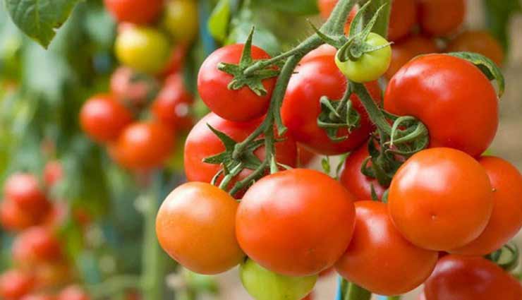 गर्मियों में आपके दिल की सेहत को बनाए रखेंगे ये 3 'रेड फूड्स' Health tips,health tips in hindi,healthy heart,summer care tips,healthy food