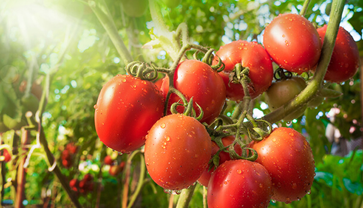 3 DIY Ways To Cure Acne With Tomato