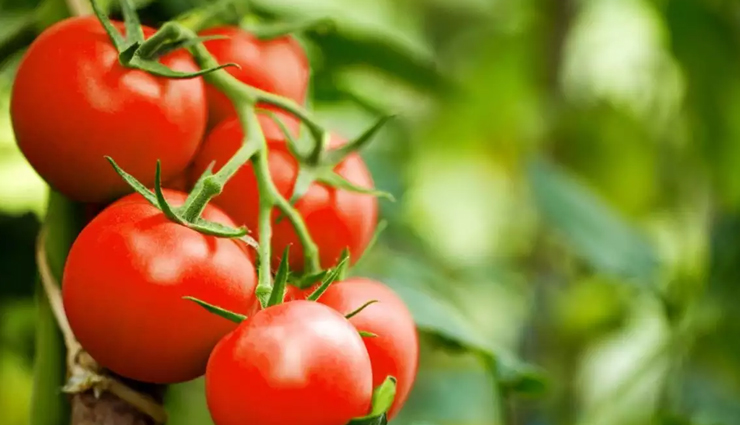 4 DIY Tomato Face Packs To Improve Skin 