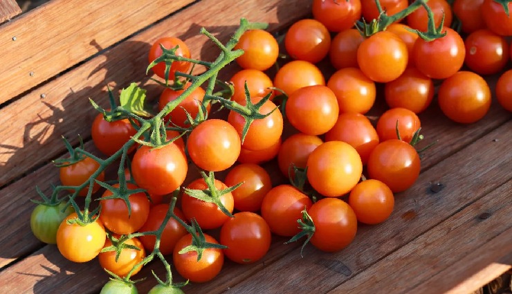 10 Health Benefits of Adding Tomato in Your Everyday Diet
