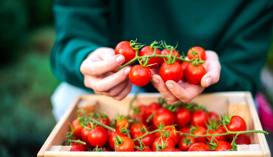 6 DIY Ways To Use Tomato for Skin and Hair
