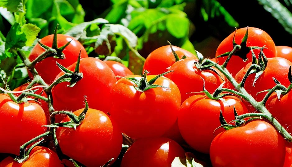 8 Amazing Health Benefits of Tomato