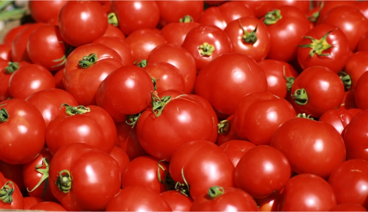 beauty tips,uses of tomato on face,tomato benefits