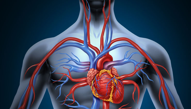 tomatoes,health benefits of tomatoes,Health tips,fitness tips