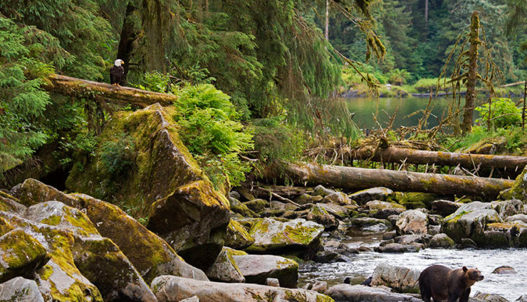 most dangerous jungles in world,holidays,travel