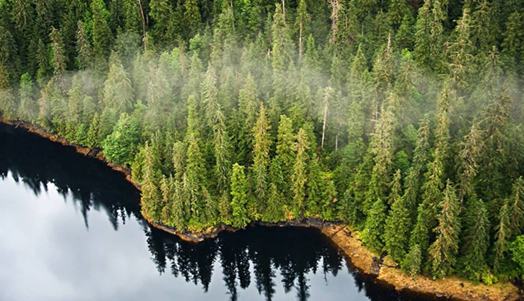 forest camping,forest camping across the world,world tourism,holidays,travel guide