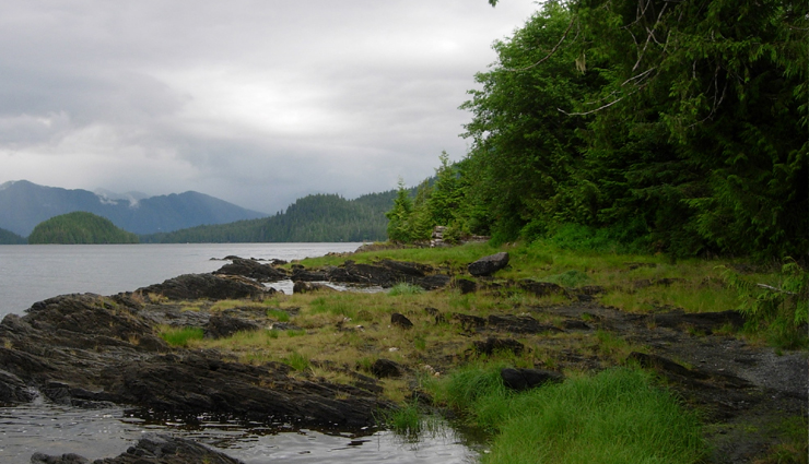 largest forests in the world,worlds biggest forests,top 10 largest forests,giant forests on earth,biggest woodland ecosystems,vast forested regions,earths grand forests,largest forested areas,forest biomes worldwide,expansive woodland landscapes