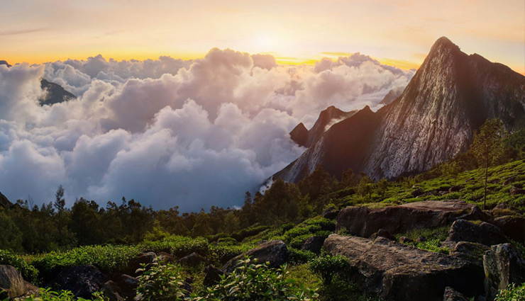 munnar tourist places,beautiful places in munnar,best places to visit in munnar,top attractions in munnar,munnar hill station,things to do in munnar,places to explore in munnar,munnar waterfalls,munnar trekking spots,munnar national parks,kerala hill stations