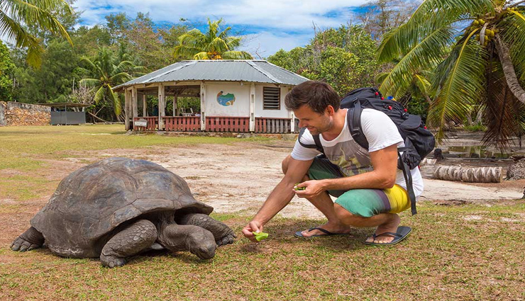 holiday,seychelles,reasons to visit seychelles,places to visit in seychelles