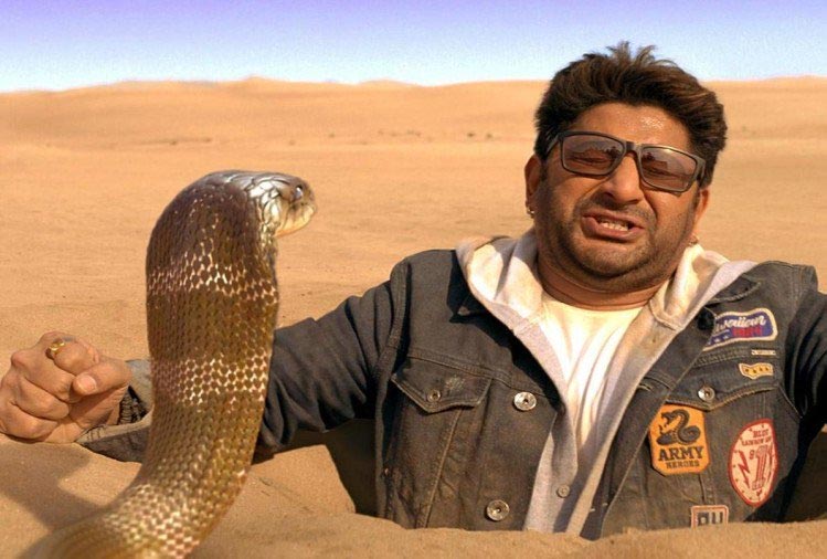 bollywood,total dhamaal,total dhamaal trailer,ajay devgn,madhuri dixit,anil kapoor,indra kumar