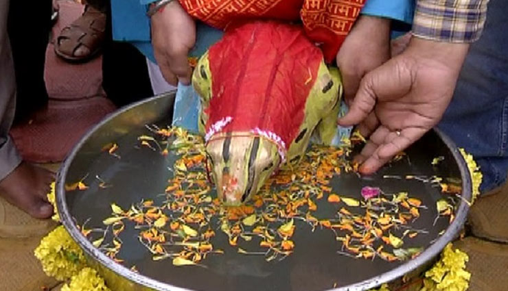 divorce of frogs,stop rain in bhopal,weird news in hindi