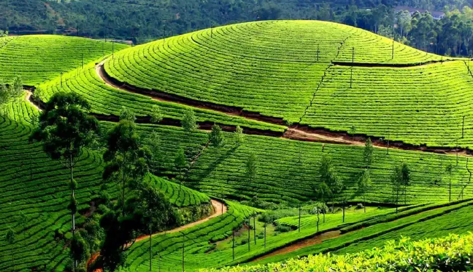 नए साल पर शिमला-मनाली में मिलेगी भीड़, सुकून चाहिए तो इन अंडररेटेड जगहों का करें रुख