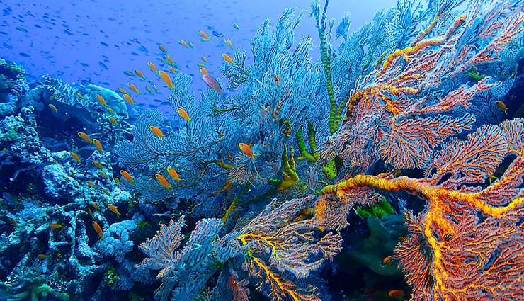 lusancay islands,mt wilhelm,panasia island,louisade archipelago,the eastern fields,sivoli river,kubor range,mt michael,tavurur,tourist spots to visit in papua new guinea,papua new guinea,places to visit in papua new guinea