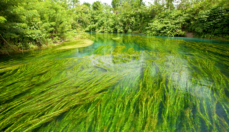 lusancay islands,mt wilhelm,panasia island,louisade archipelago,the eastern fields,sivoli river,kubor range,mt michael,tavurur,tourist spots to visit in papua new guinea,papua new guinea,places to visit in papua new guinea