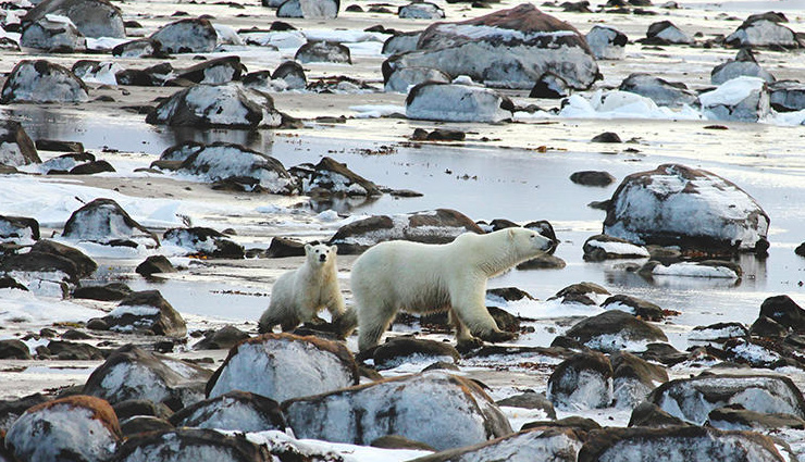 niagara-on-the-lake,ontario,quebec city,quebec,churchill,manitoba,goderich,banff town,alberta,best towns in canada,towns to visit in canada,canada
