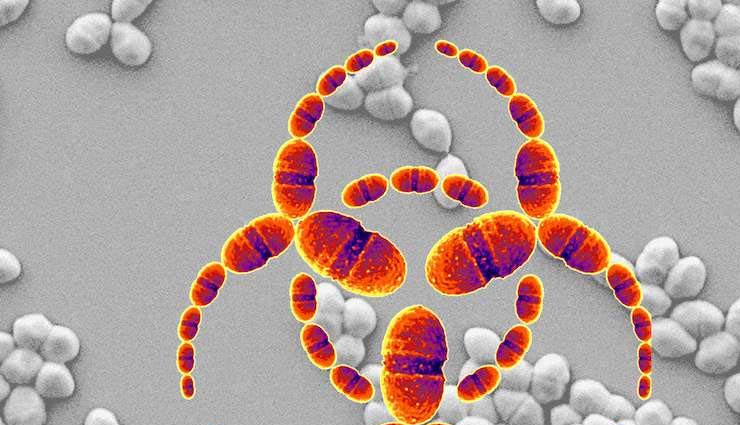 broccoli,broccoli benefits,broccoli health benefits,good health,healthy food,healthy diet,Health,Health tips,fights cancer,controls cholesterol,powerful antioxidant,aids in effective weight-loss,strengthens bones