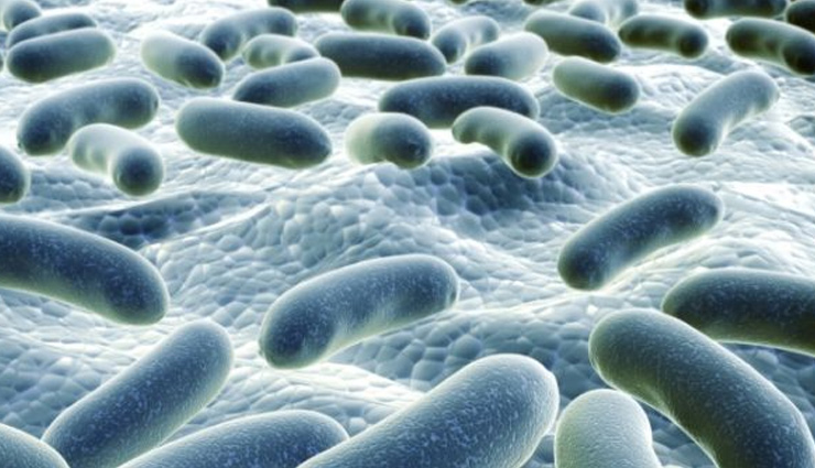 बेहद गुणकारी हैं इलायची का पानी, जानें सेहत को मिलने वाले इसके चमत्कारी फायदे cardamon water,cardamon water benefits,health benefits of cardamon water,cardamon benefits,cardamon healthy food,Health,healthy living,Health tips