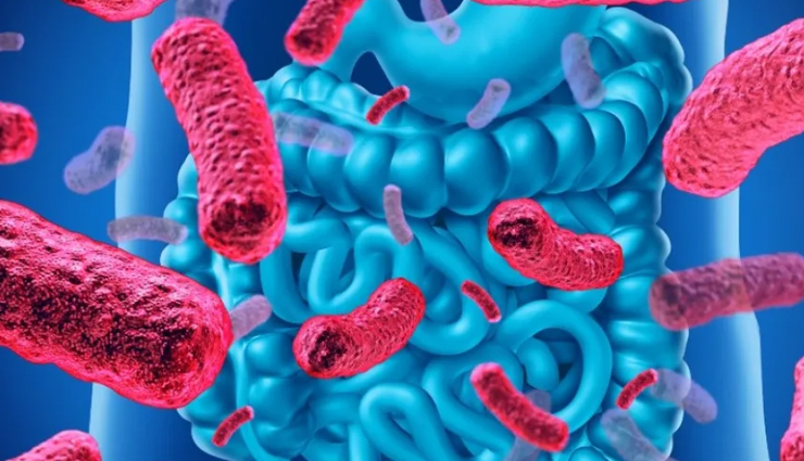 13 Home Remedies to Remove Toxins from the Body for Better Immunity