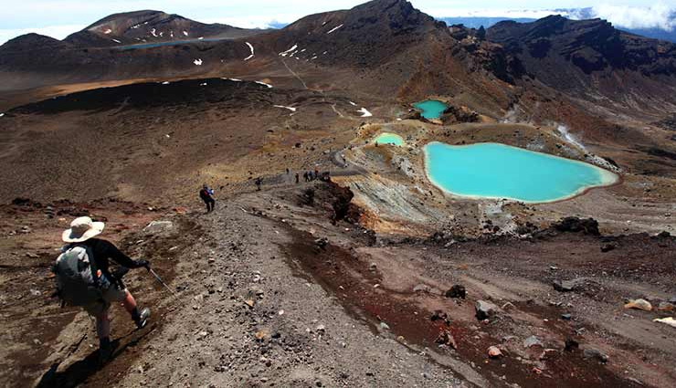 10 Beautiful Short Walk Tracks To Take in New Zealand