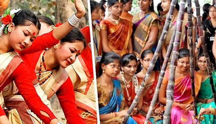 makar sankranti 2020,customs and traditions of makar sankranti,makar sankranti,makar sankranti celebration,makar sankranti customs