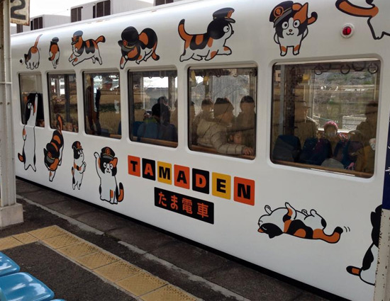 बिल्लियों के लिए चलाई गई स्पेशल ट्रेन, यात्रियों ने किए मजे