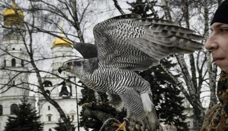 इस देश में कमांडो और सेना नहीं बल्कि बाज और उल्लू करते हैं राष्ट्रपति भवन की सुरक्षा 