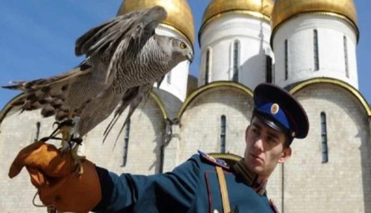 eagle,owl,president house,vladimir putin ,रूस,सरकारी इमारतों की सुरक्षा के लिए बाज और उल्लुओं की तैनाती