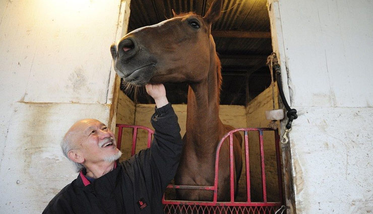 trainers who killed by their animals,animals who killed their owners,zoo animals who killed their traines