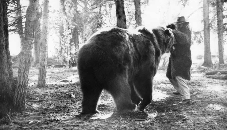 trainers who killed by their animals,animals who killed their owners,zoo animals who killed their traines