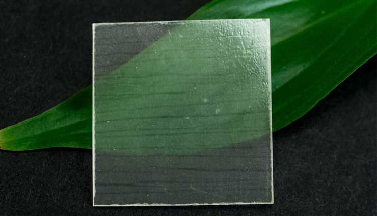 transparent wood,what is transparent wood,how transparent wood is created,america,weird news