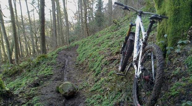 unexplored places of india,india,salt desert of rann,trap of forest hill caves,swamp forest sundarbans,himalayan ice mountains,ocean of arid sand