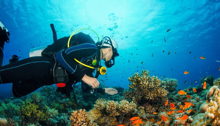 travel trends 2025,must try travel trends,2025 travel tips,travel trends 2025 destinations,upcoming travel trends,travel trends 2025 predictions,future travel trends,top travel trends 2025,adventure travel trends,sustainable travel trends 2025,travel ideas 2025,innovative travel experiences,luxury travel trends 2025,solo travel trends 2025,eco-friendly travel trends