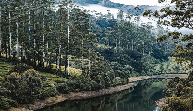 traveling tips,traveling places,sri lanka,sri lanka places