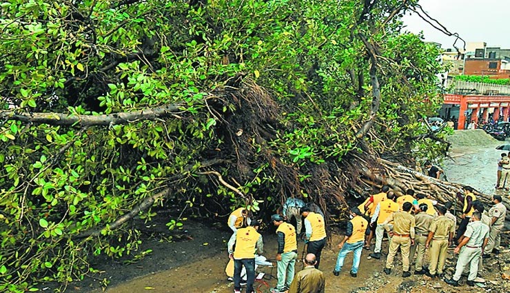 जयपुर : सिस्टम की विफलता के चलते राहगीर पर गिरा 200 साल पुराना बरगद का पेड़, हुई मौत news,latest news,news in hindi,local news,rajasthan,jaipur