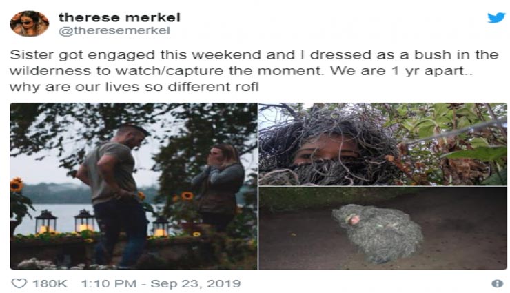 weird news,weird incident,girl costume like tree,girl to click her sister photos,twitter,social media