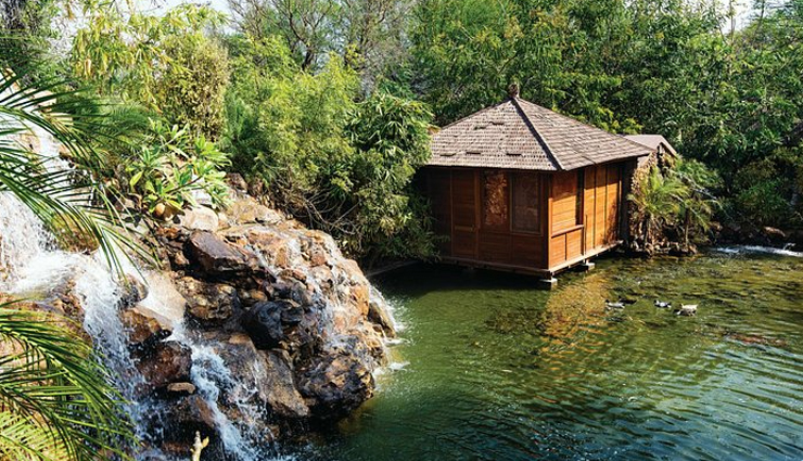 tree house resorts india,beautiful tree houses in india,amazing stay in tree house resorts,unique accommodations in india,tree house getaways in india,treetop accommodations in india,elevated eco-friendly stays,treehouse hideaways india,exotic treehouse escapes,treehouse hotels india,nature-inspired lodging,adventurous treehouse stays,serene forest retreats,elevated stays in india,treehouse lodging options,eco-luxury treehouse resorts,unique treetop getaways in india,treehouse accommodations amidst nature,rustic treehouse escapes india