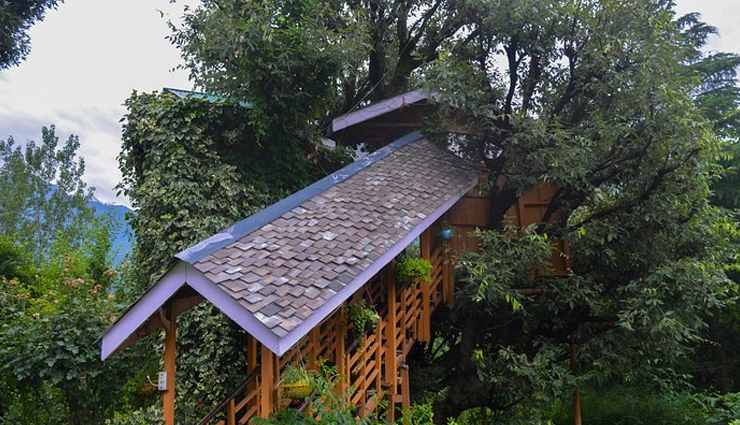 tree house resorts india,amazing tree house accommodations,relaxing vacation spots,unique travel experiences,top tree house getaways,luxury tree house stays,nature-inspired retreats,india vacation destinations,tranquil holiday escapes,tree house resorts for relaxation