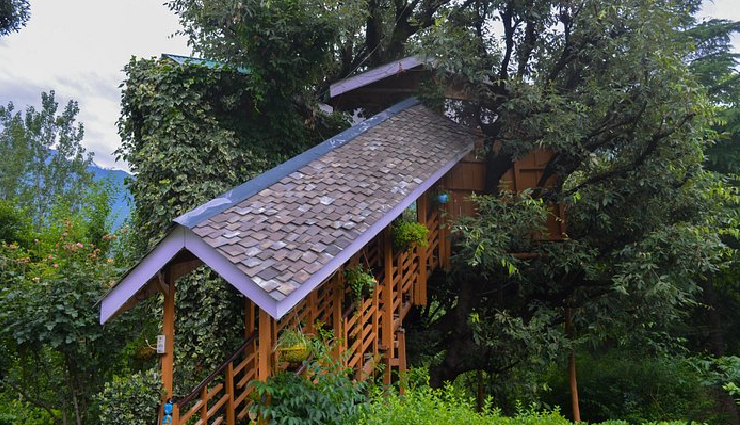 tree house resorts india,beautiful tree houses in india,amazing stay in tree house resorts,unique accommodations in india,tree house getaways in india,treetop accommodations in india,elevated eco-friendly stays,treehouse hideaways india,exotic treehouse escapes,treehouse hotels india,nature-inspired lodging,adventurous treehouse stays,serene forest retreats,elevated stays in india,treehouse lodging options,eco-luxury treehouse resorts,unique treetop getaways in india,treehouse accommodations amidst nature,rustic treehouse escapes india