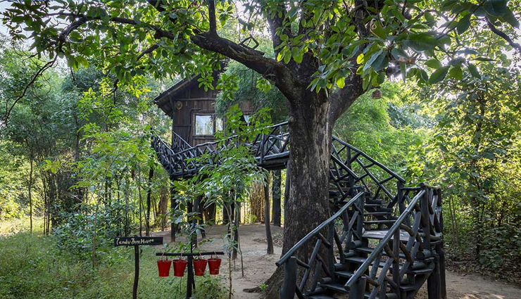 tree house resorts india,beautiful tree houses in india,amazing stay in tree house resorts,unique accommodations in india,tree house getaways in india,treetop accommodations in india,elevated eco-friendly stays,treehouse hideaways india,exotic treehouse escapes,treehouse hotels india,nature-inspired lodging,adventurous treehouse stays,serene forest retreats,elevated stays in india,treehouse lodging options,eco-luxury treehouse resorts,unique treetop getaways in india,treehouse accommodations amidst nature,rustic treehouse escapes india