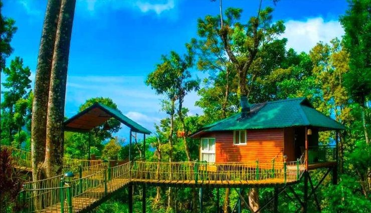 tea estate tours in munnar: savor the finest teas,waterfall hikes: attukal and lakkam in munnar,eravikulam national park: spotting nilgiri tahr,munnars spice gardens: a fragrant exploration,shikara boat rides in munnars lakes,trekking adventures: anamudi peak and chokramudi hills,elephant safari: munnars unique wildlife experience,ayurvedic spa retreats in munnar: relax and rejuvenate,photography spots: munnars scenic beauty unleashed,culinary delights: exploring munnars local cuisine