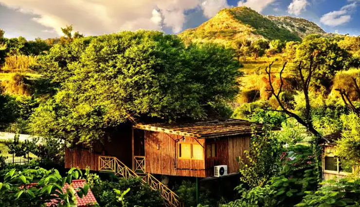 6 Beautiful Tree House Resorts For an Amazing Stay in India