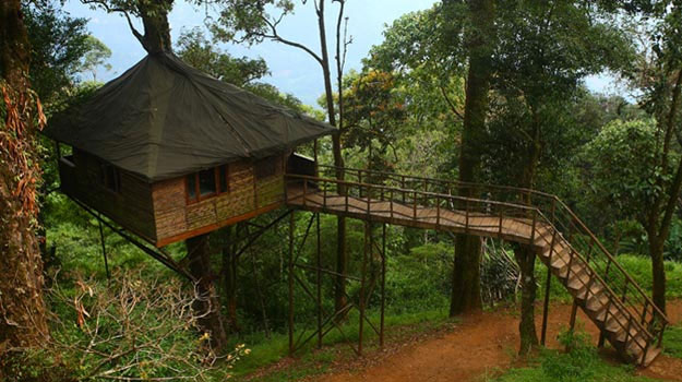 tree house resorts in india,tree house resorts,resorts,tree house hideaway,bandhavgarh,tree house resort,jaipur,the machan,lonavala,tree house cottages,manali,vythiri resort,waynad,kerala