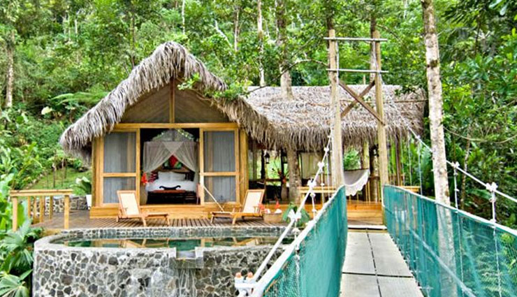 tree house resorts,tree house resorts around costa rica,costa rica,tree house lodge,finca bellavista,nature observatorio,hidden canopy tree houses boutique hotel,tree houses hotel