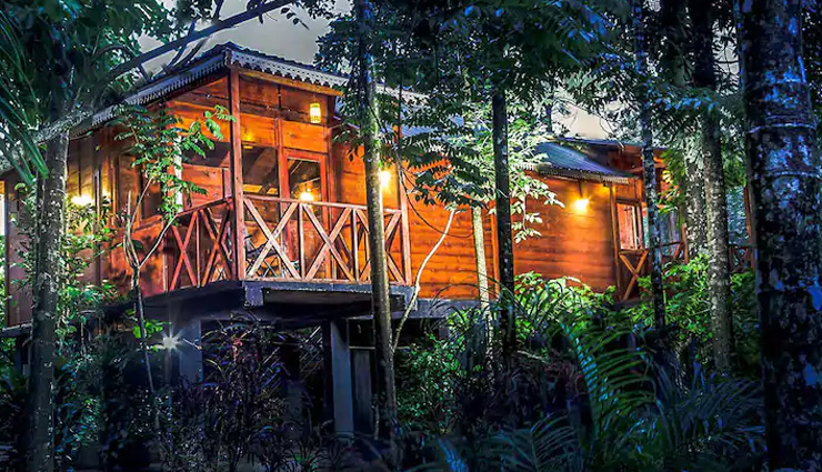 केरल में स्थित वायनाड की खूबसूरती का हर कोई दीवाना, हनीमून के लिए बेस्ट डेस्टिनेशन natural wonders in wayanad,wayanad hill stations and resorts,wayanad travel guide,popular destinations in kerala,wayanad wildlife sanctuaries,wayanad adventure tourism,charming places in wayanad,family-friendly attractions in wayanad,wayanad historical landmarks,cultural experiences in kerala,ecotourism in wayanad,wayanad offbeat destinations,best viewpoints in wayanad,wayanad waterfalls and lakes,wayanad trekking trails,best places to visit in wayanad,wayanad tourist attractions,kerala travel destinations,scenic spots in wayanad,must-visit places in kerala,wayanad hill stations,kerala nature tourism,historical sites in wayanad