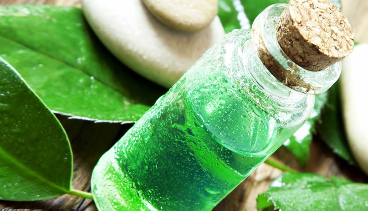 hair care tips,5 cheap ways to treat head lice,treating head lice at home,how to get rid of head lice,easy ways to get rid of head lice