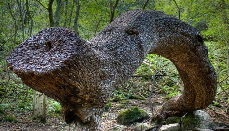 इस पेड़ पर पत्तियों की जगह मिलेंगे सिक्के, सच्चाई बेहद ही रोचक