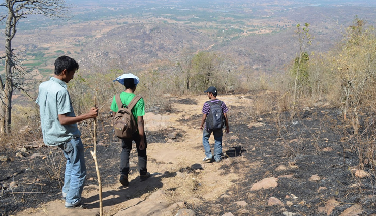 want to enjoy night trekking,holidays,trekking tips,travel