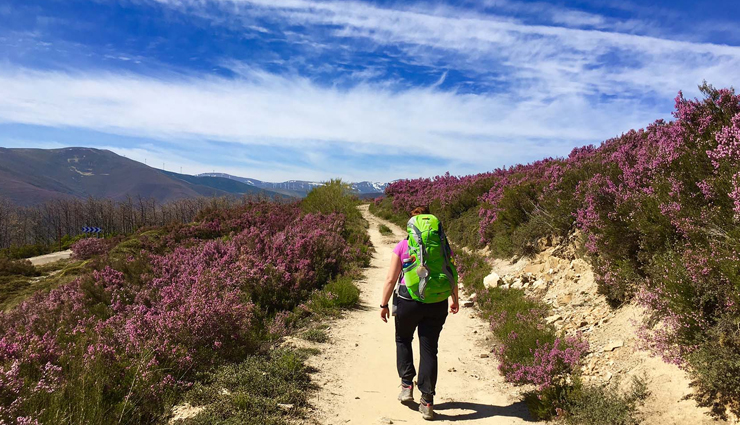 beautiful treks from around the world,treks to visit,camino de santiago,spain,everest base camp,nepal,w trek in torres del paine,chile,the haute route,france- switzerland,overland track,australia,annapurna circuit,nepal