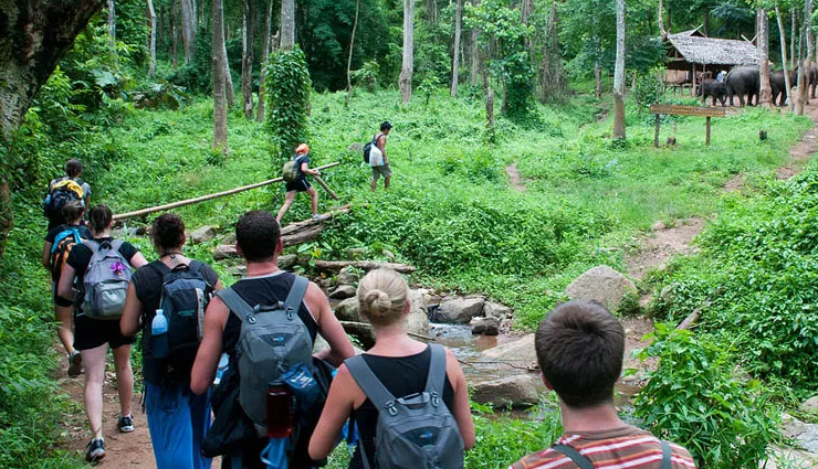 things to do in jim corbett national park,adventure activities in jim corbett,wildlife safari in jim corbett,relaxation and rejuvenation in jim corbett,camping in jim corbett,trekking in jim corbett,birdwatching in jim corbett,cultural experiences in jim corbett,exploring nearby attractions in uttarakhand,accommodation options in jim corbett