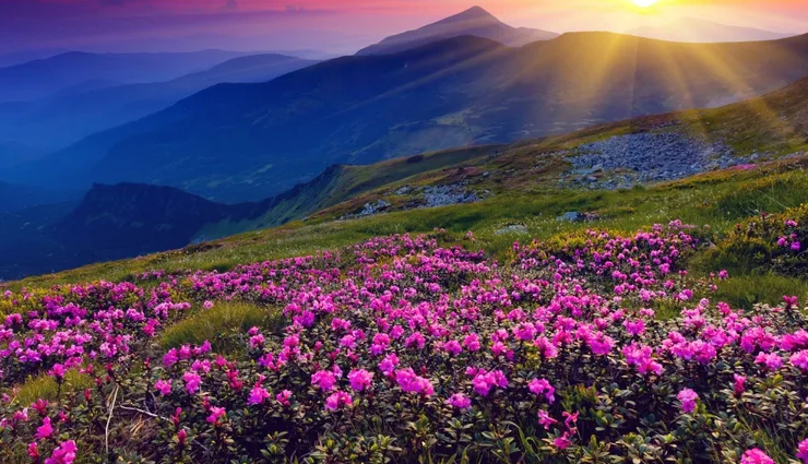 treks to visit in india,india,chadar trek,ladakh,kheerganga trek,himachal,har ki doon trek,uttarakhand,pin parvati trek,himachal pradesh,valley of flowers trek,goecha la trek,sikkim